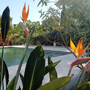 La Croisette Villa